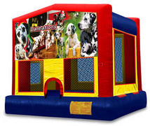 Dalmations Bounce Dalmations Bounce
