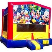 Mickey And Friends Bounce Mickey And Friends Bounce
