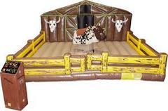 Mechanical Bull Mechanical Bull