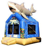 Shark Bounce Shark Bounce