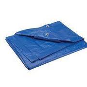 Tarp Tarp